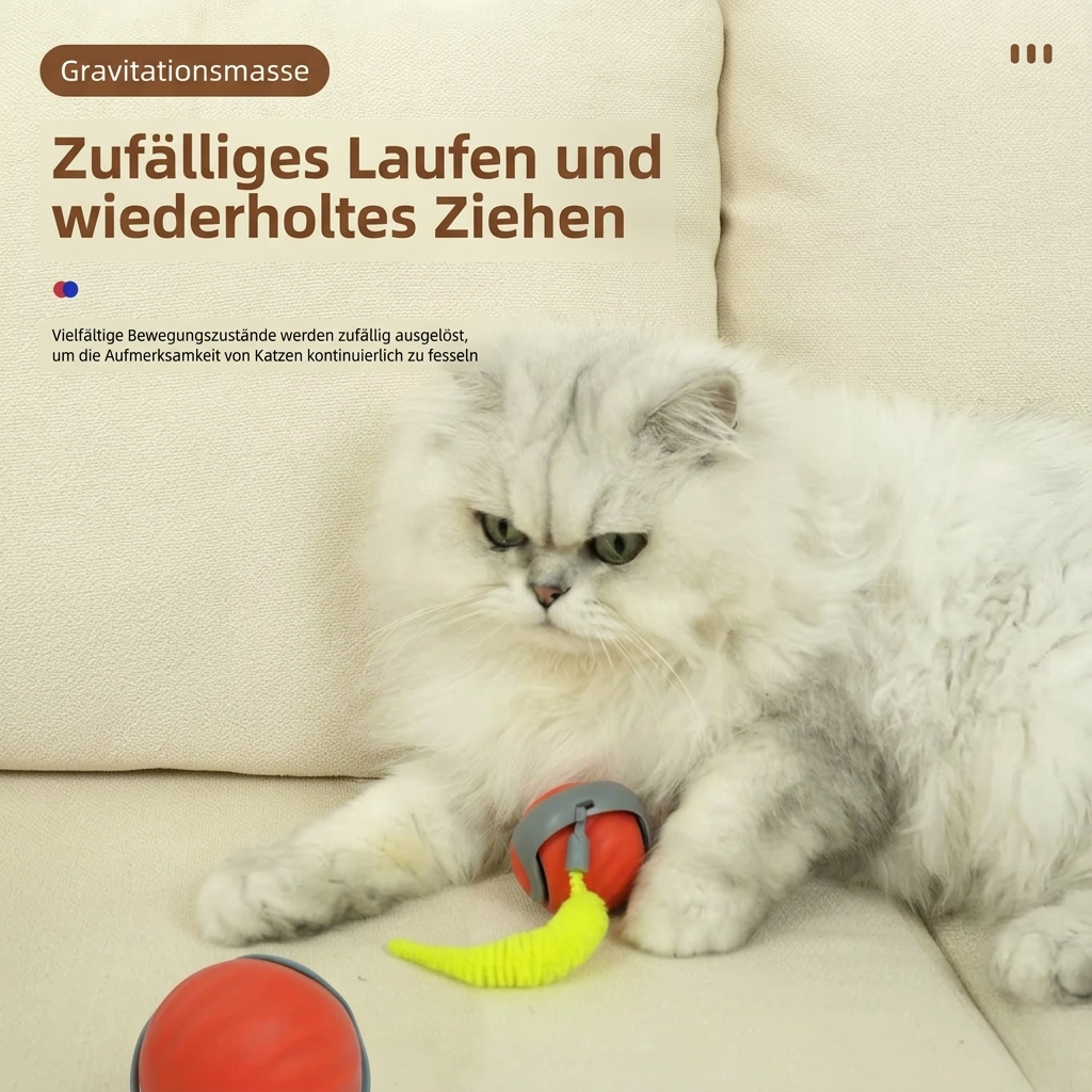 KatzenWirbler