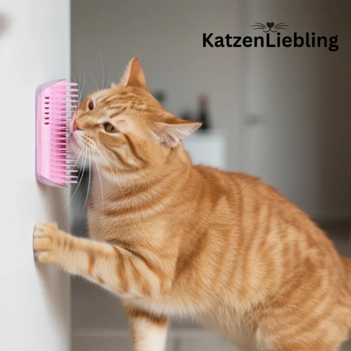 Katzenbürste