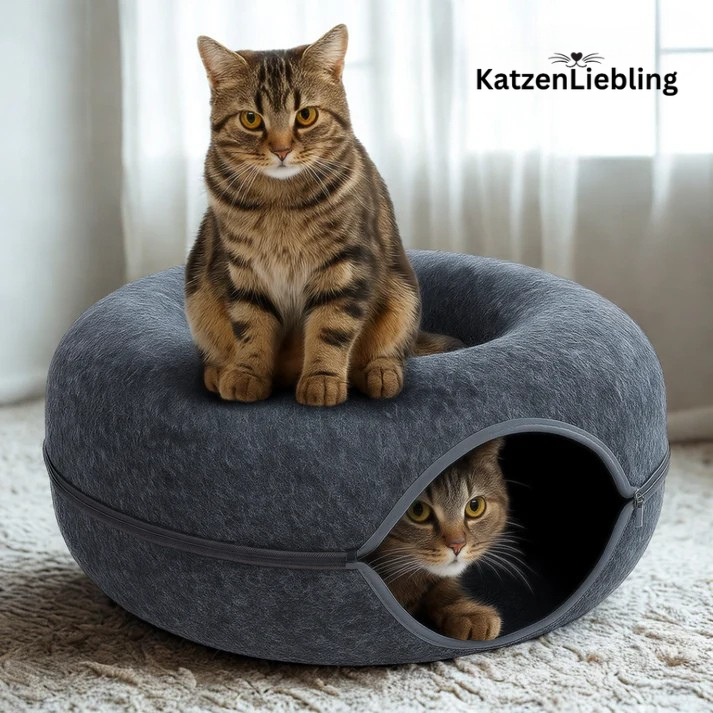 Katzenhöhlen Bett