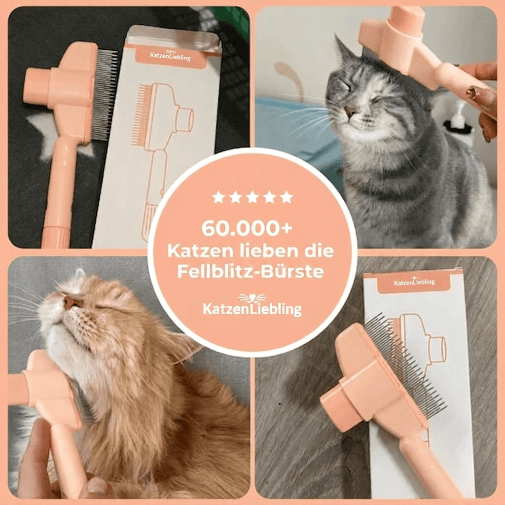 Fellkamm - KatzenLiebling