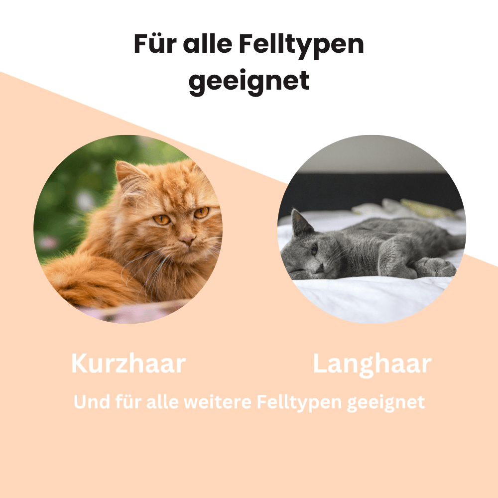 GroomyBrush™ - KatzenLiebling