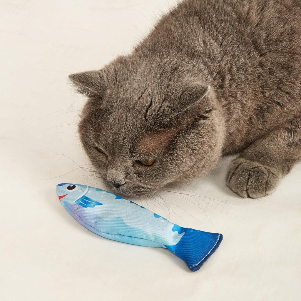 Katzenfisch - KatzenLiebling