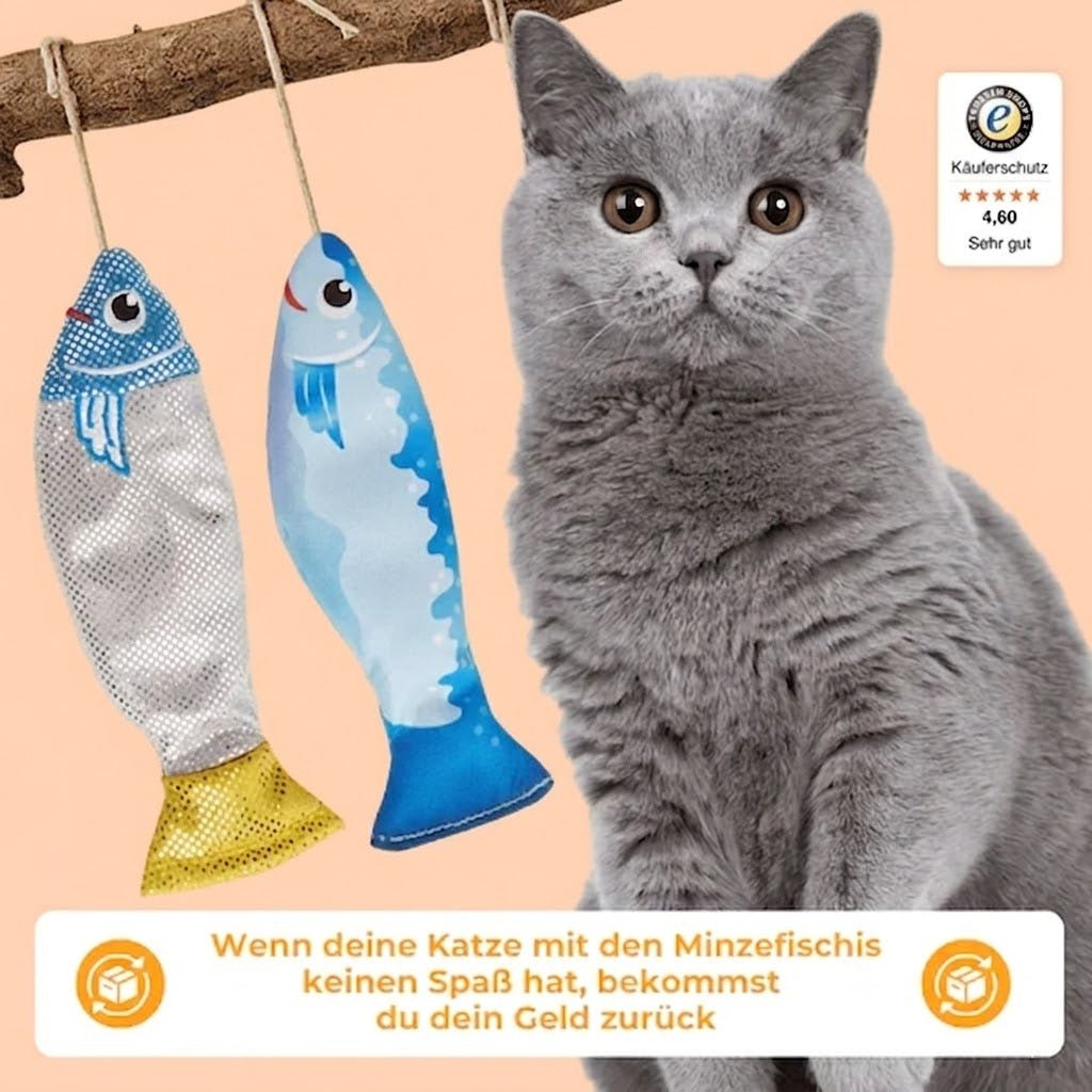 Katzenfisch - KatzenLiebling