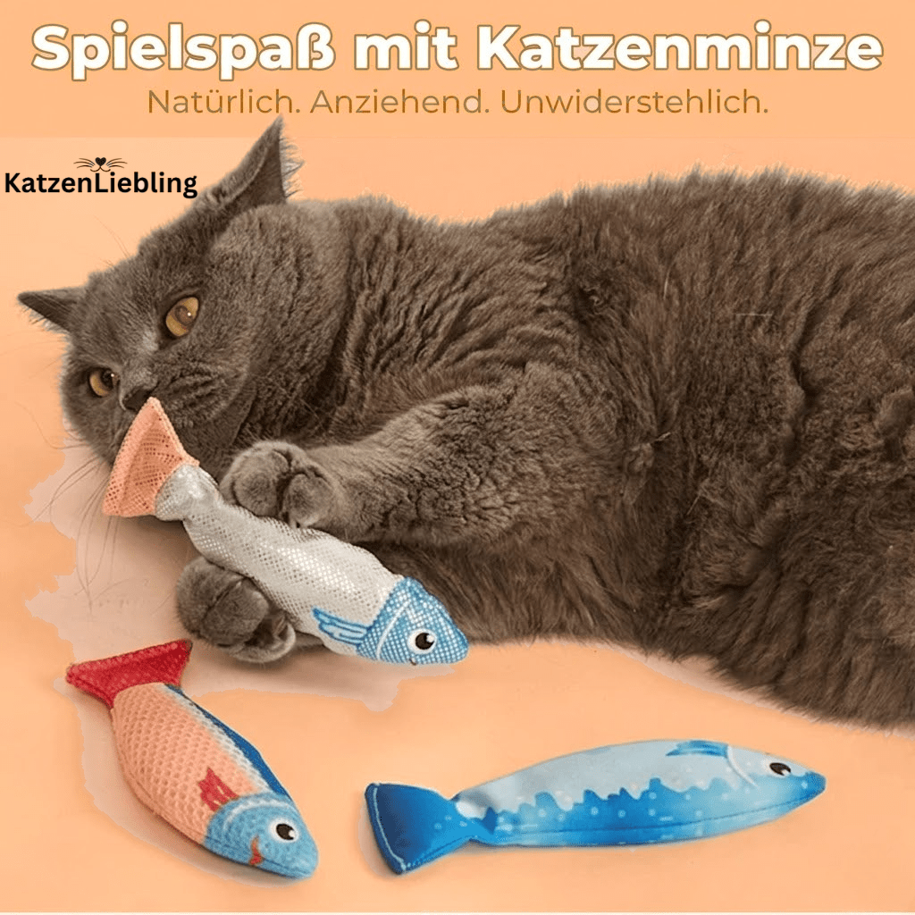 Katzenfisch - KatzenLiebling