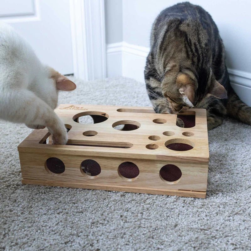 KatzenKnobelbox - KatzenLiebling