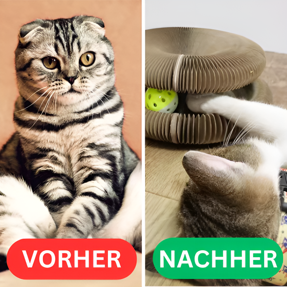 Katzenwirbel™