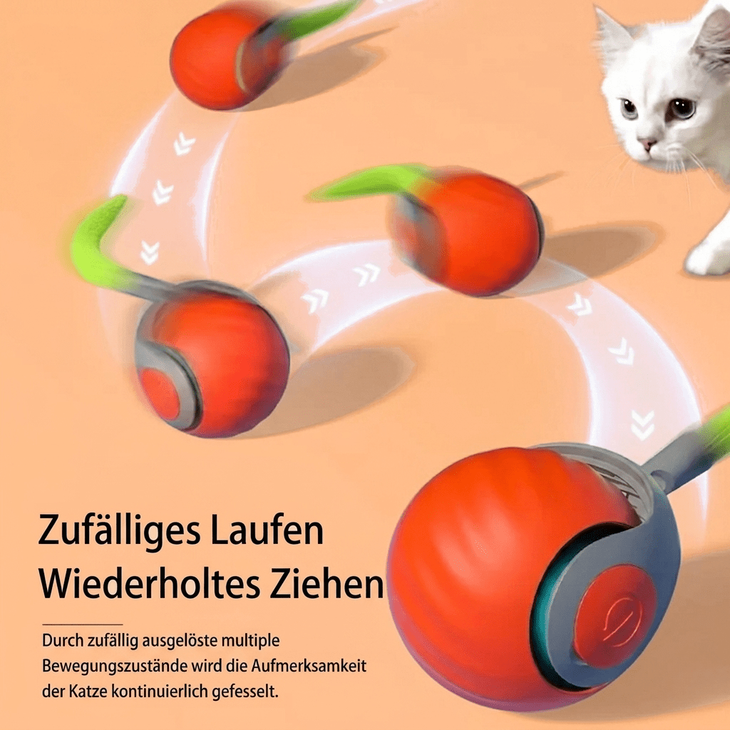 KatzenWirbler - KatzenLiebling