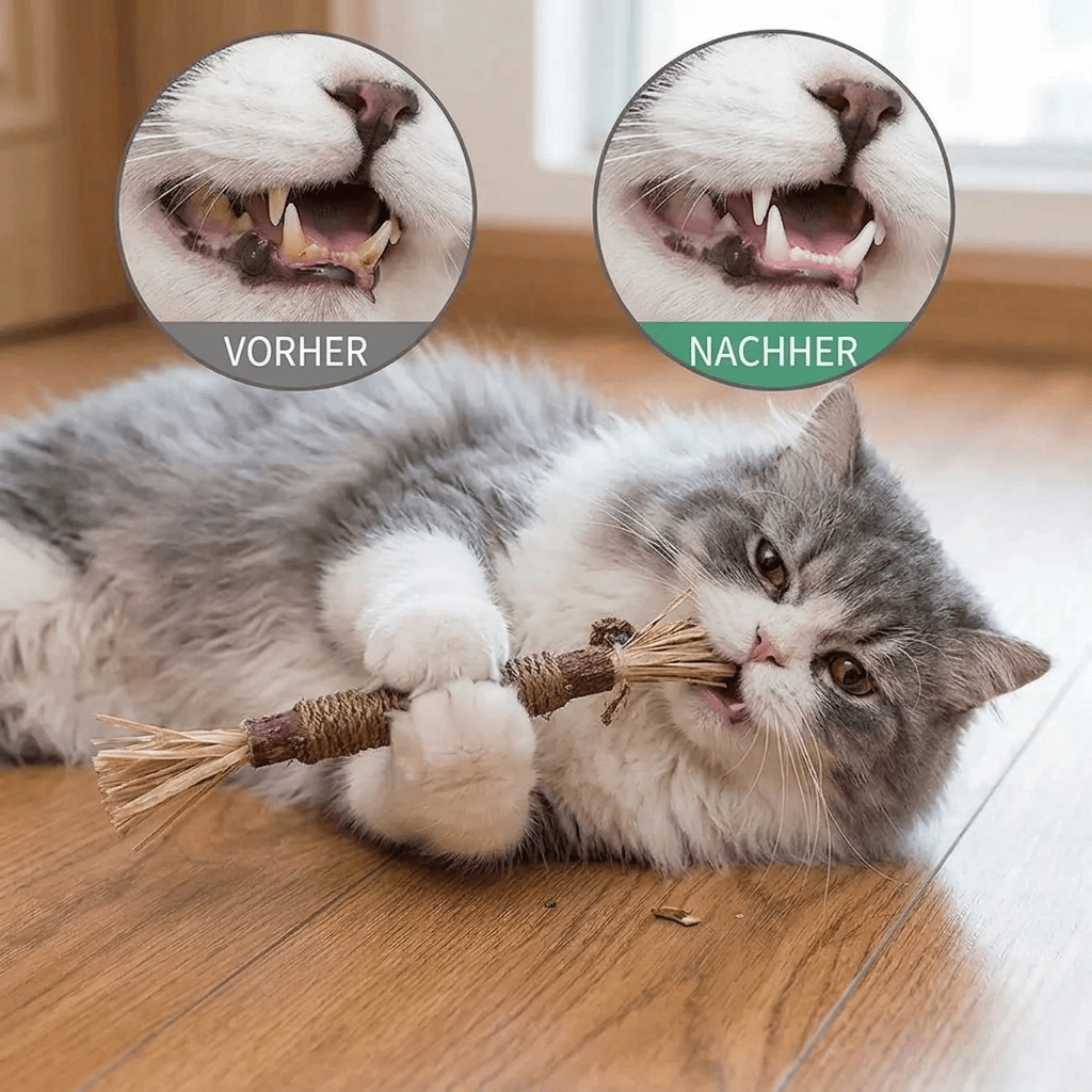 MauzKau Stick - KatzenLiebling