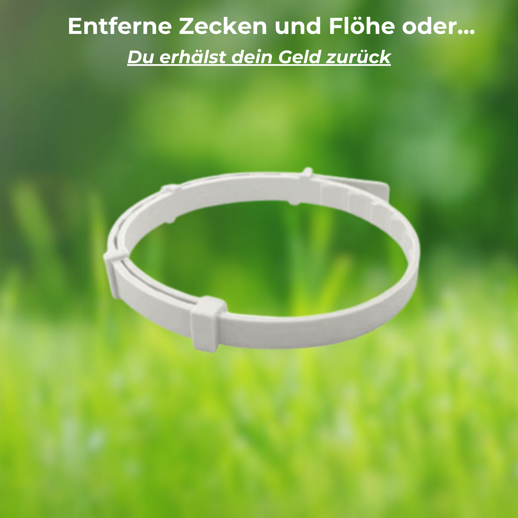 Naturband - Floh und Zeckenhalsband