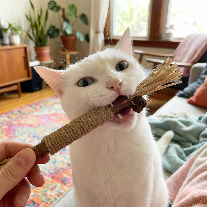 MauzKau Stick