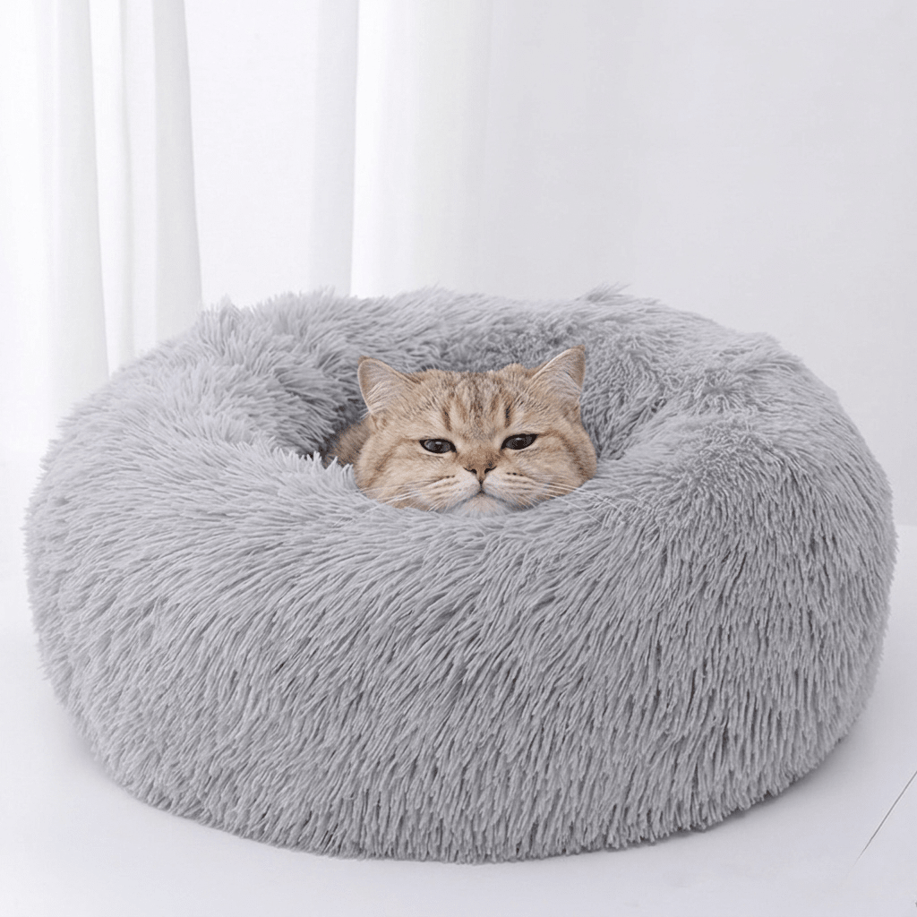 Wolke 7 - KatzenLiebling
