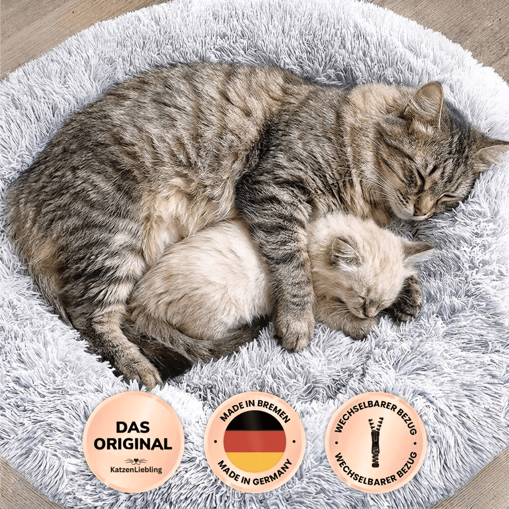 Wolke 7 - KatzenLiebling