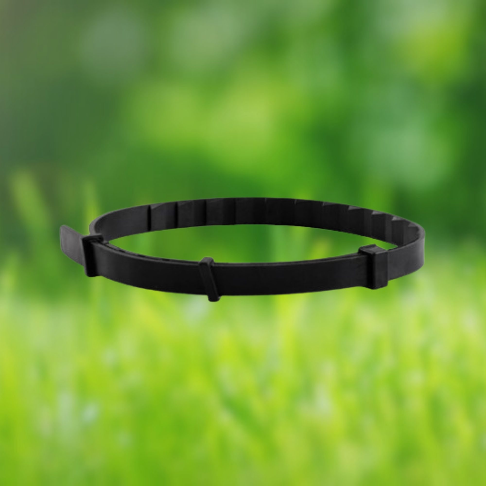 Naturband - Floh und Zeckenhalsband