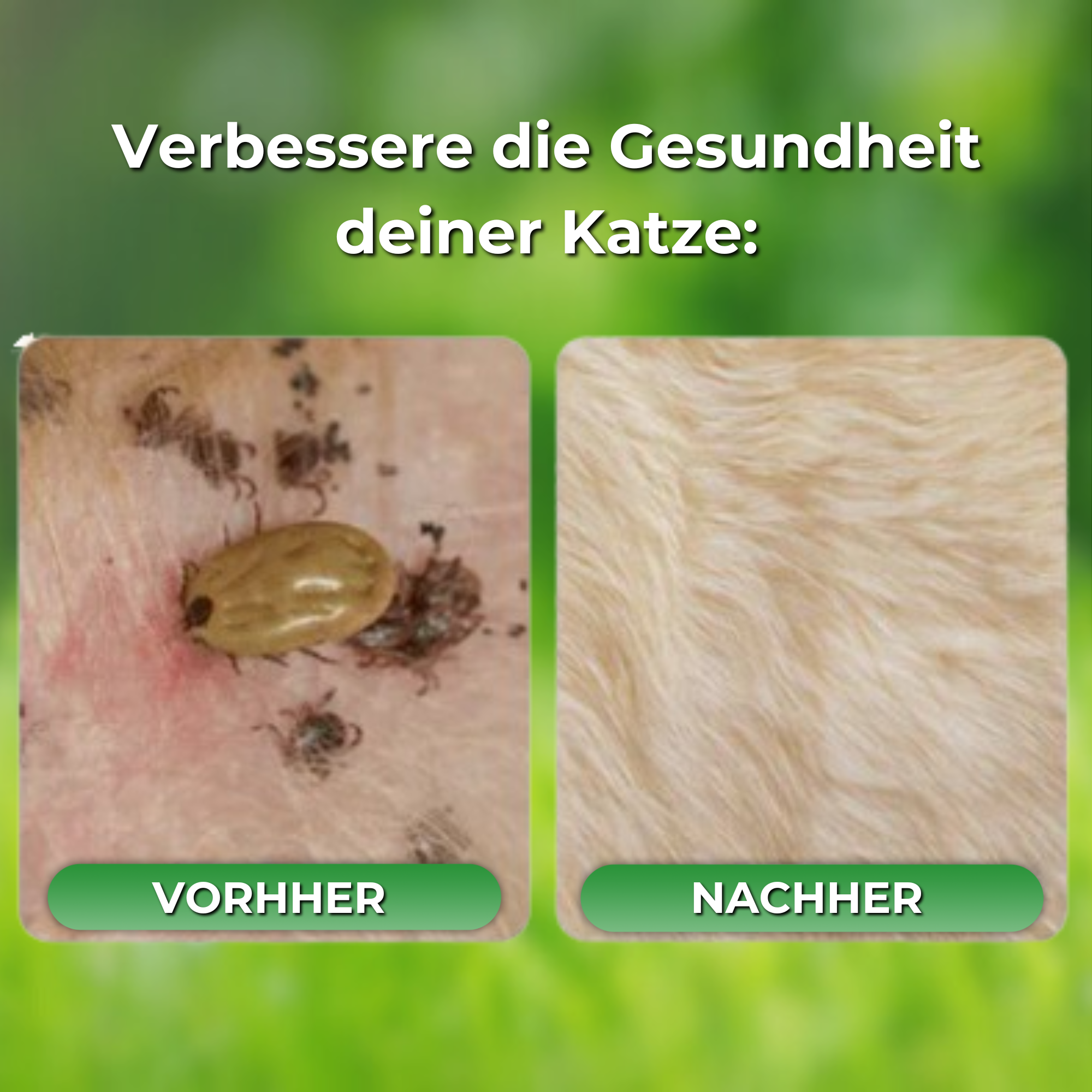 Naturband - Floh und Zeckenhalsband