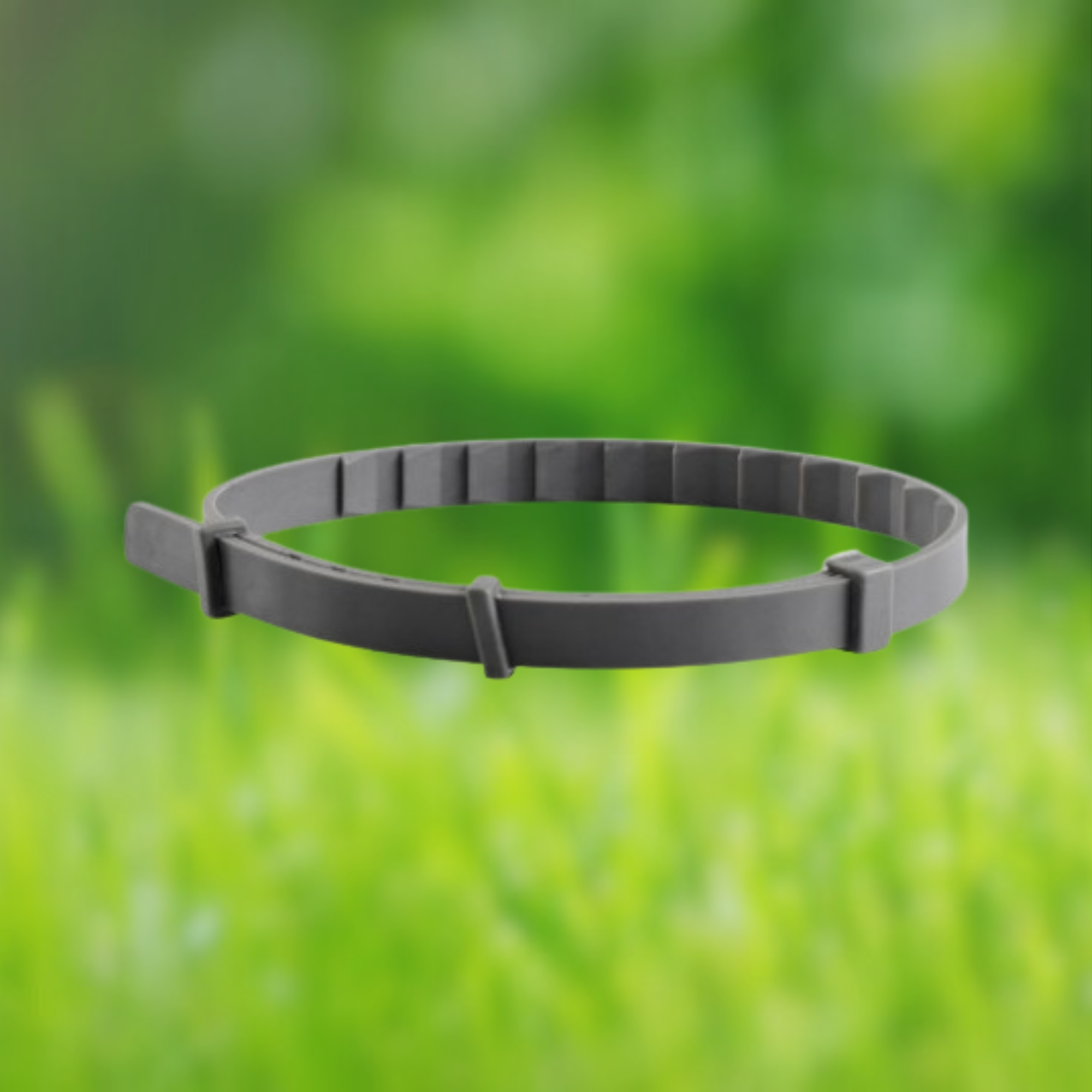 Naturband - Floh und Zeckenhalsband