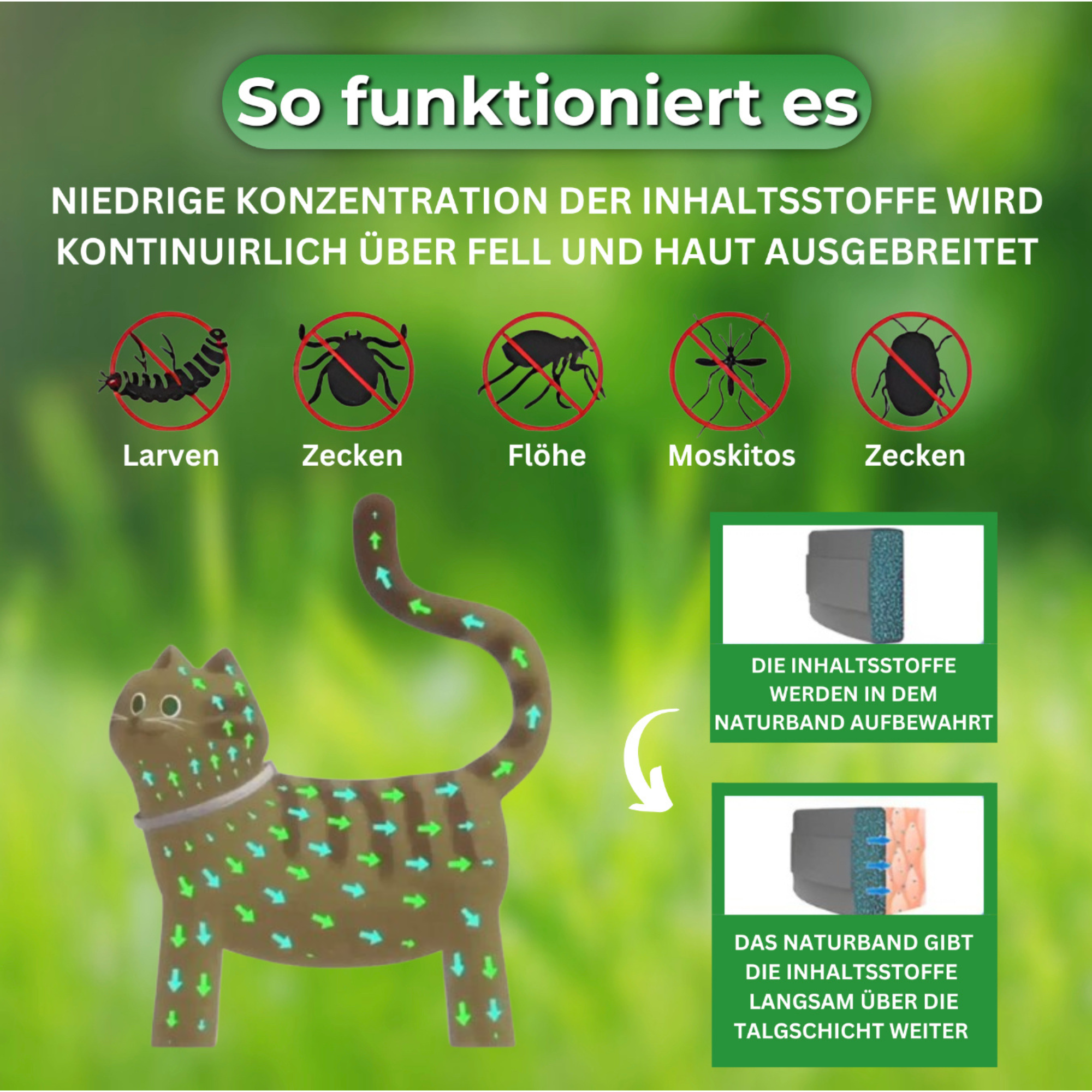 Naturband - Floh und Zeckenhalsband