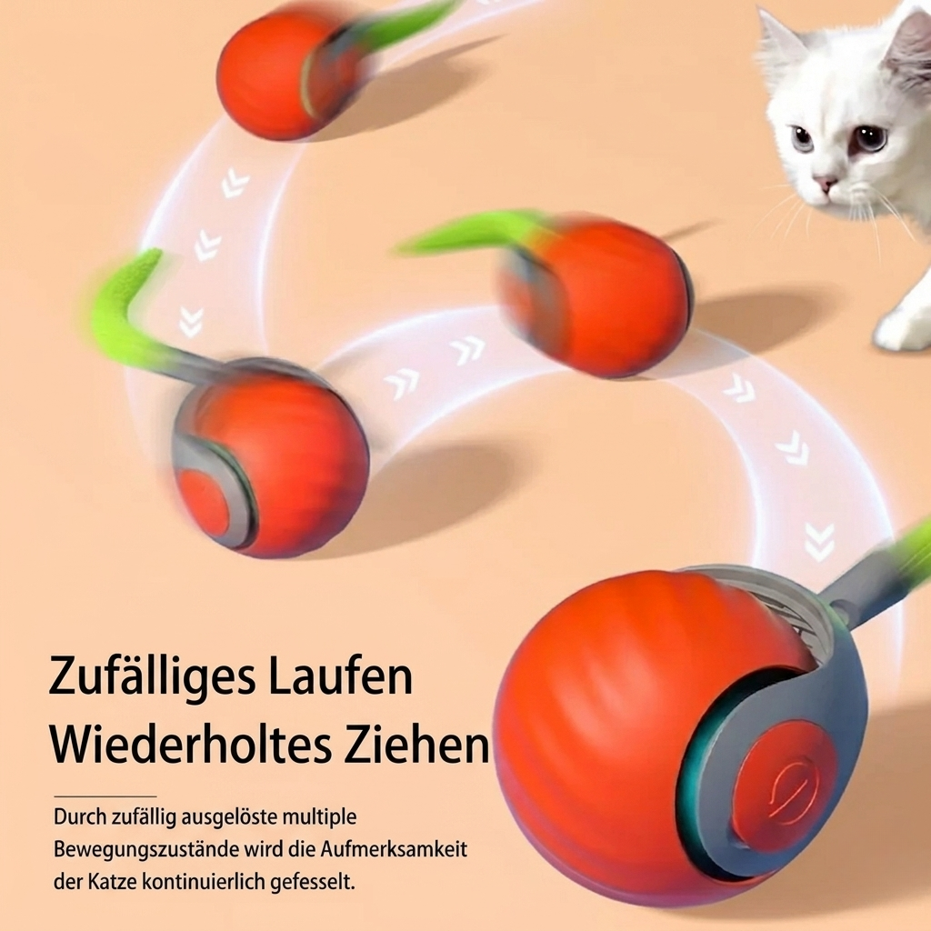 KatzenWirbler