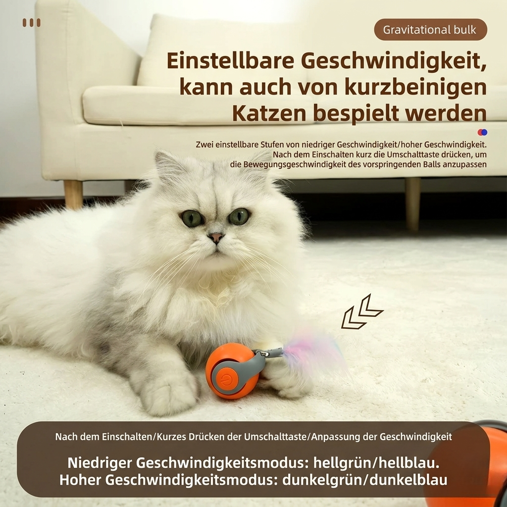 KatzenWirbler