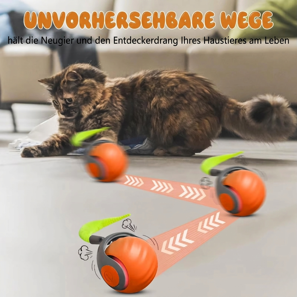 KatzenWirbler