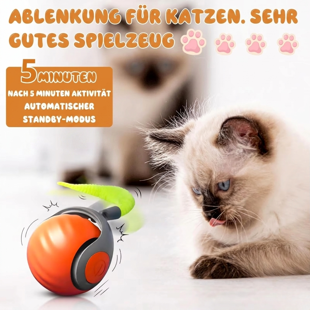KatzenWirbler