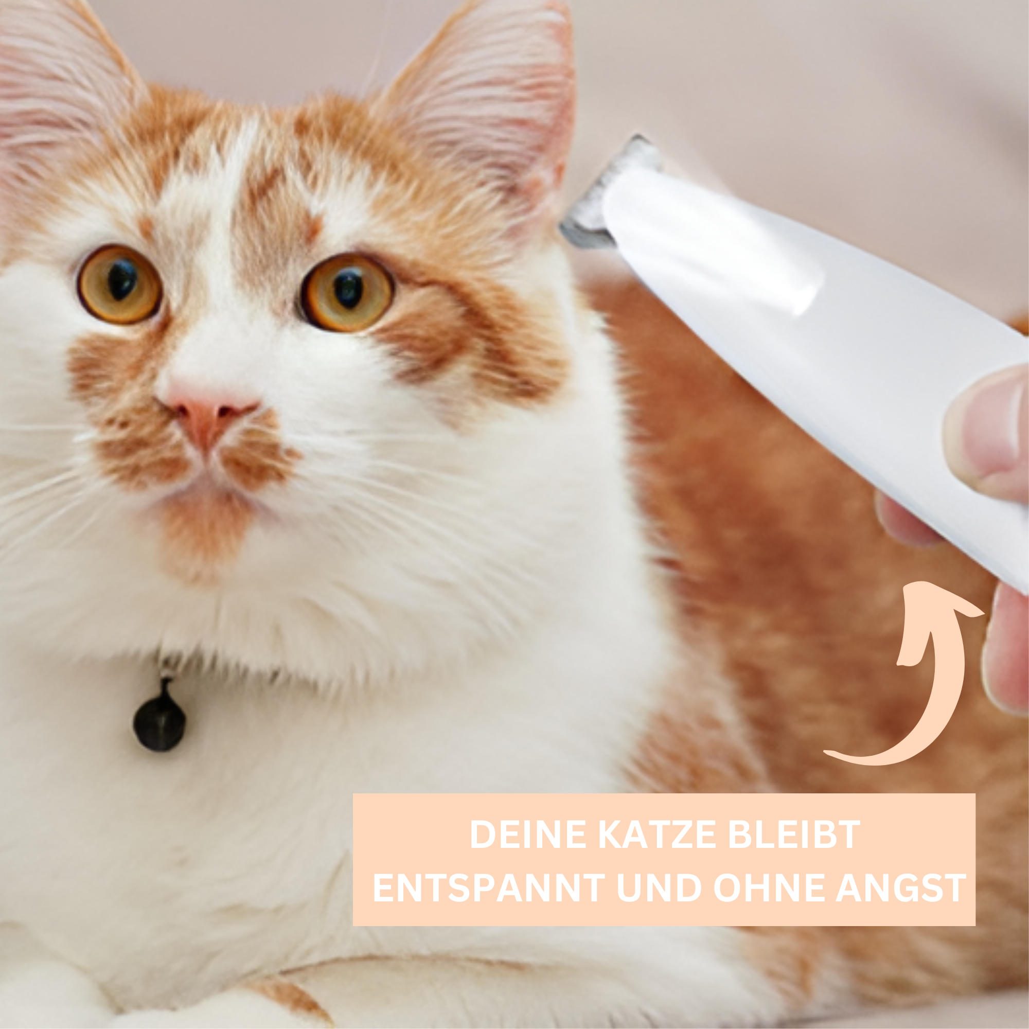 CatTrim Pro™ - Schmerzfreie Pfotenpflege in Sekunden