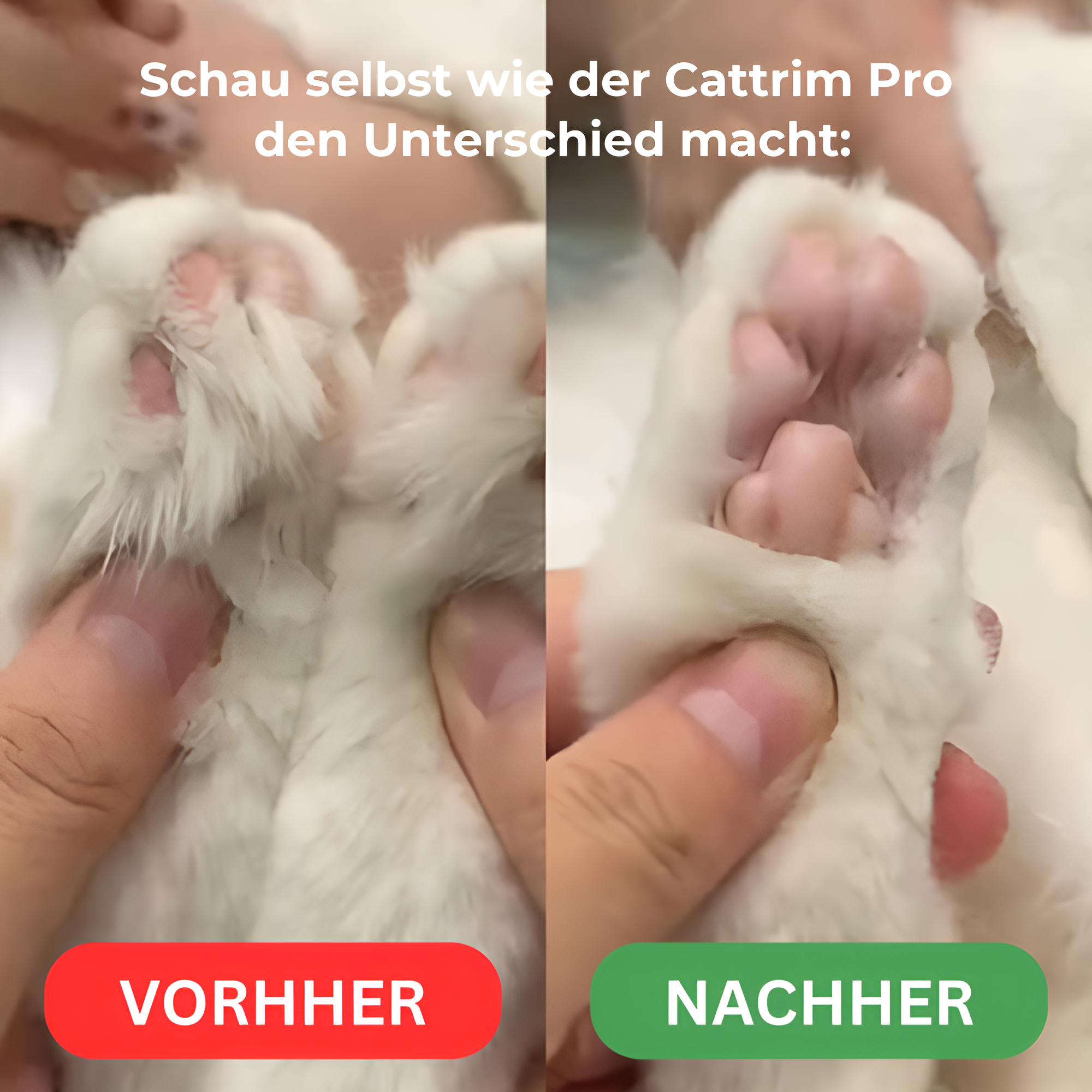 CatTrim Pro™ - Schmerzfreie Pfotenpflege in Sekunden