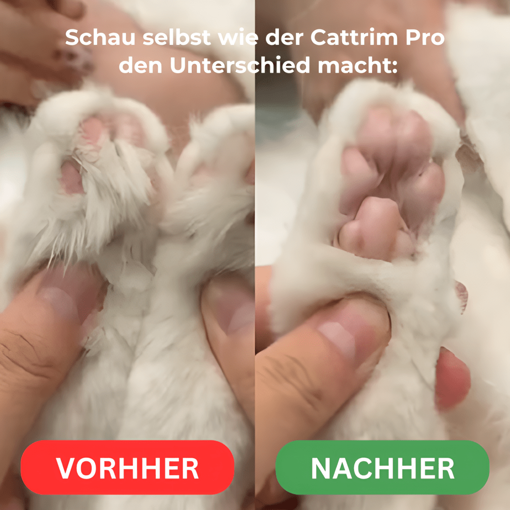 CatTrim Pro™ - Schmerzfreie Pfotenpflege in Sekunden - KatzenLiebling