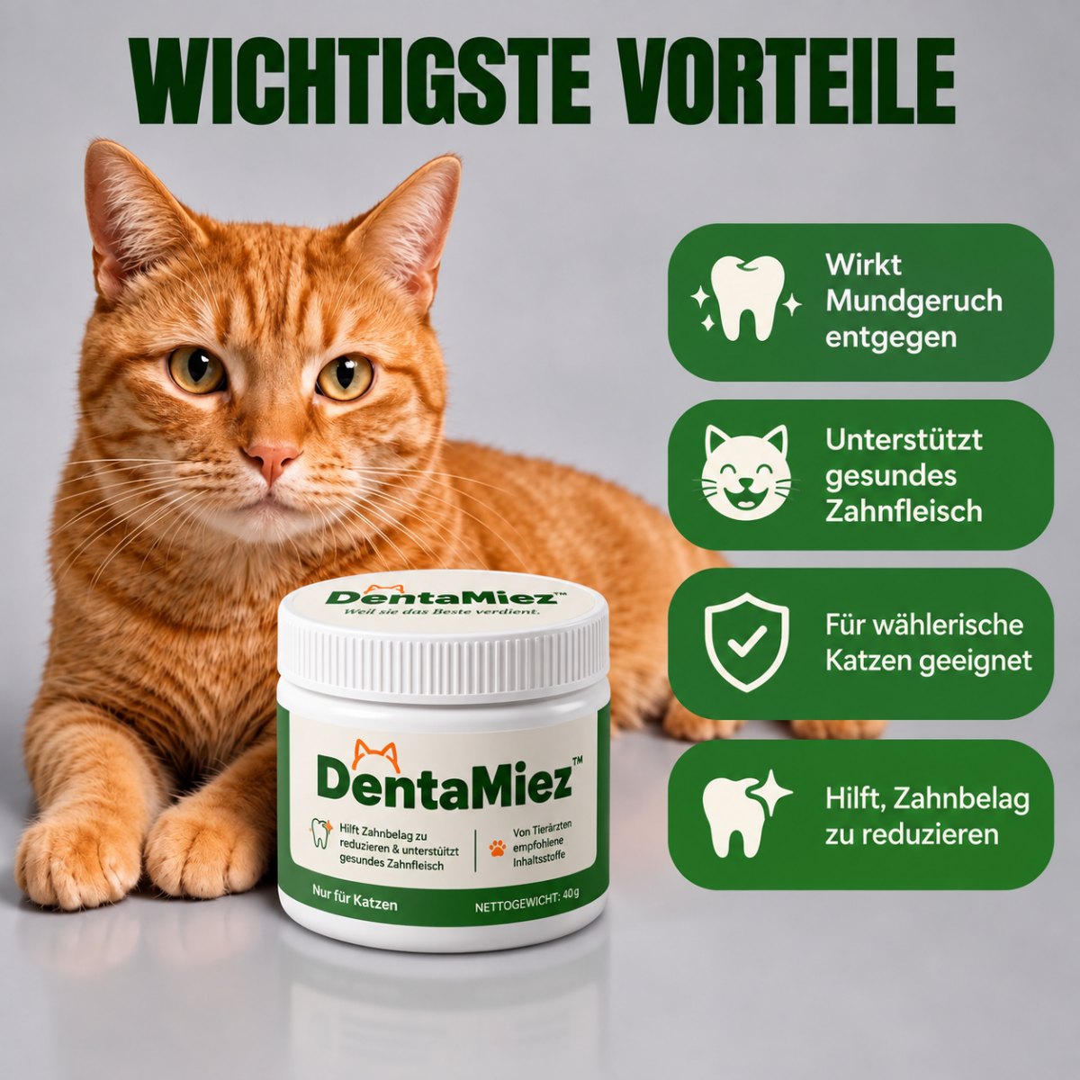 Wichtigste Vorteile von DentaMiez für Katzenzähne