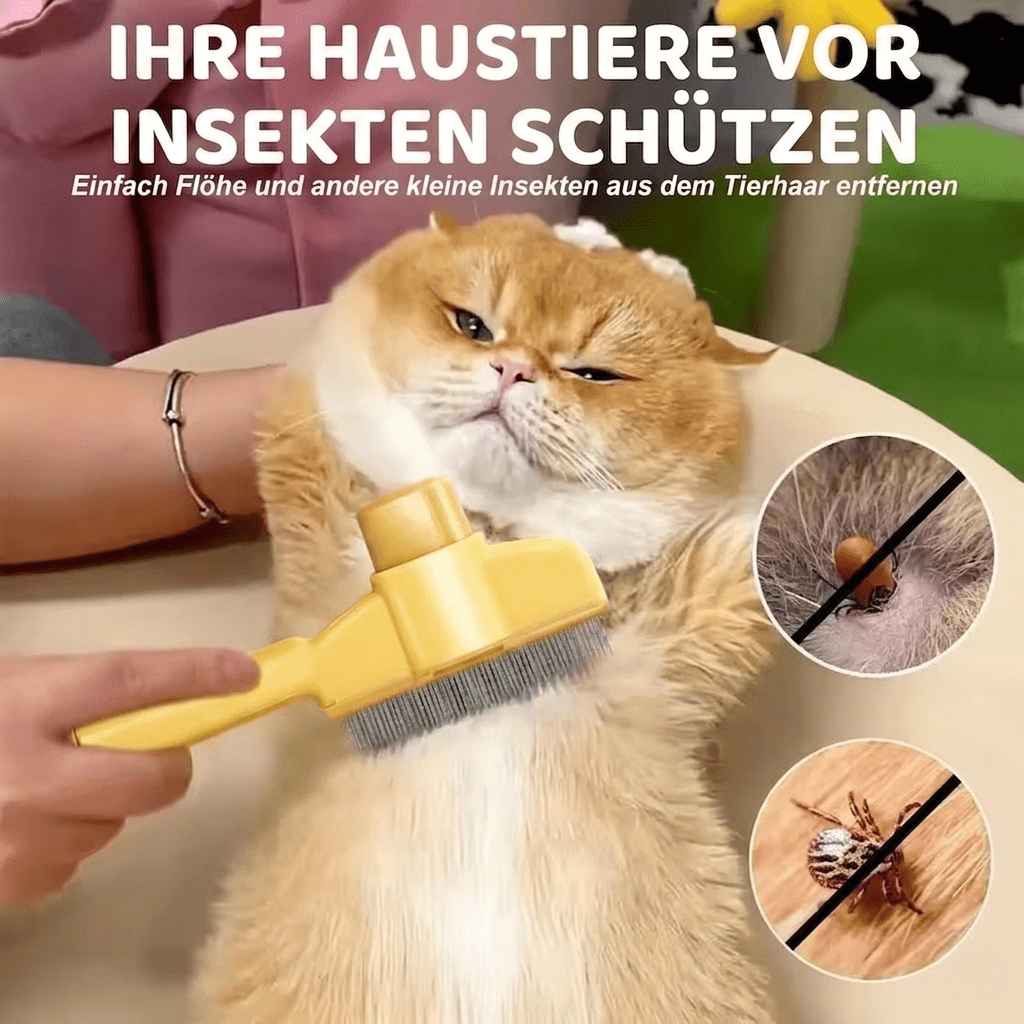 Fellkamm - KatzenLiebling