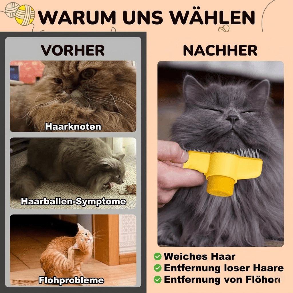Fellkamm - KatzenLiebling