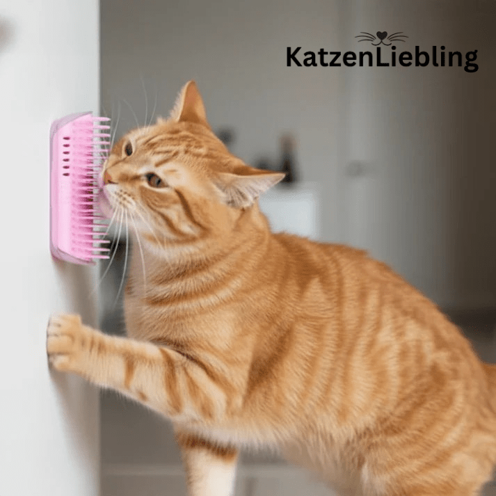 Katzenbürste - KatzenLiebling