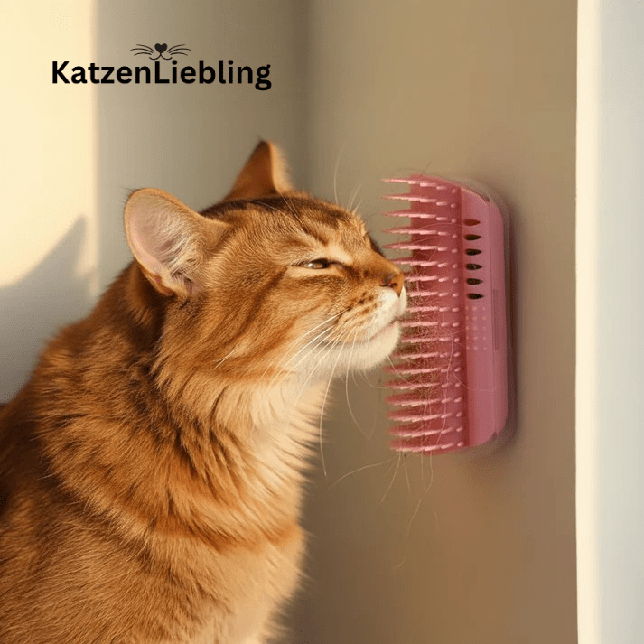 Katzenbürste - KatzenLiebling