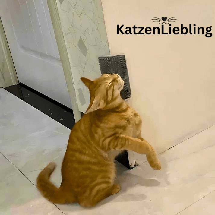 Katzenbürste - KatzenLiebling