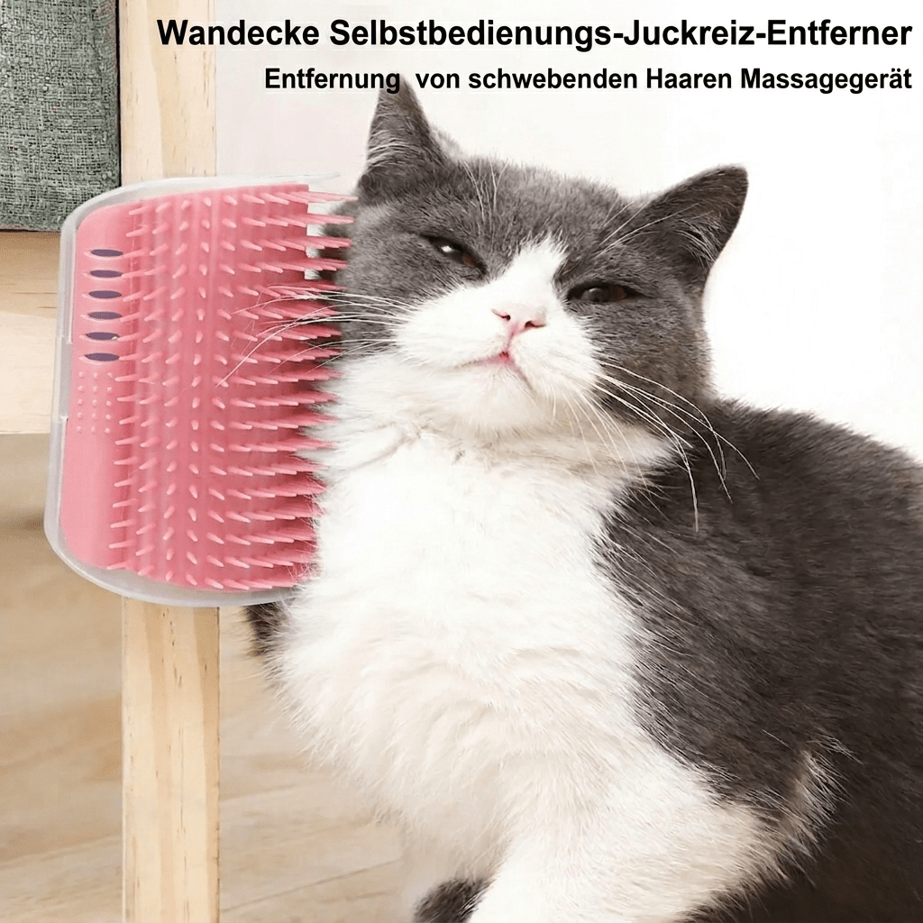Katzenbürste - KatzenLiebling