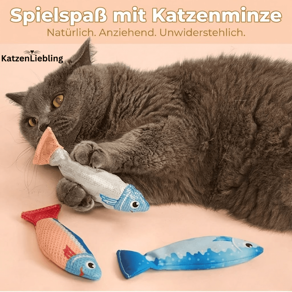 Katzenfisch - KatzenLiebling