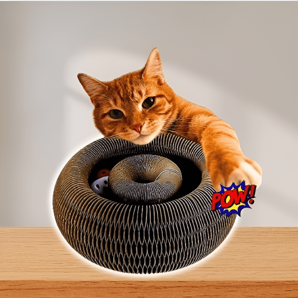 Katzenwirbel™ - KatzenLiebling