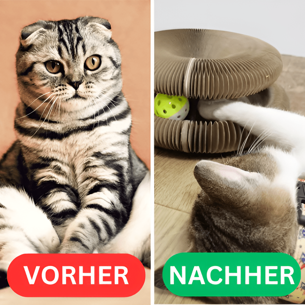 Katzenwirbel™ - KatzenLiebling