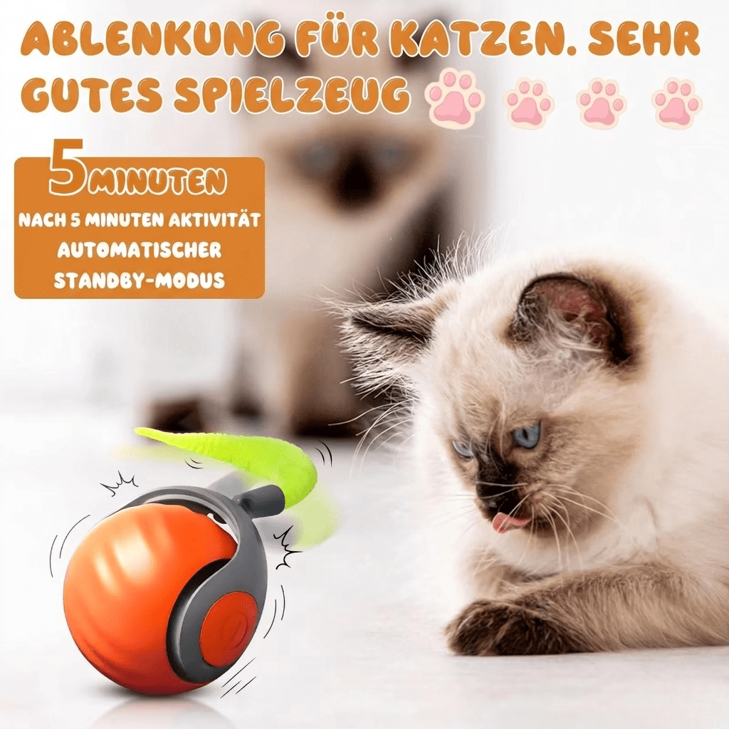 KatzenWirbler - KatzenLiebling