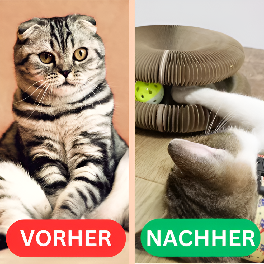 Katzenwirbel™