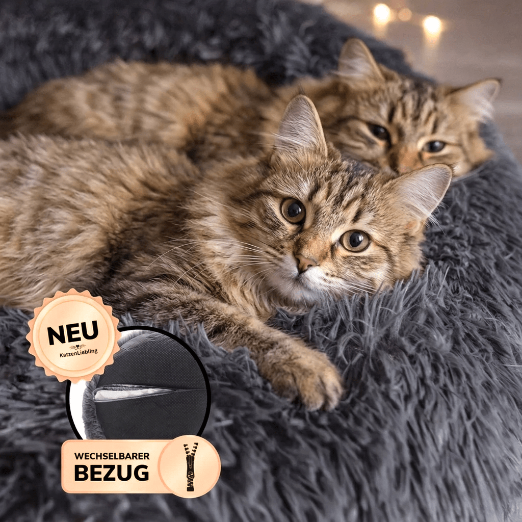 Wolke 7 - KatzenLiebling